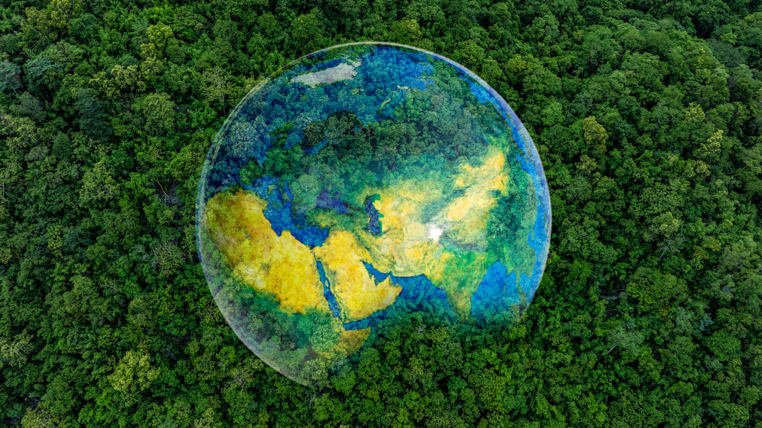 La Eficiencia Energética: Clave para un Futuro Sostenible